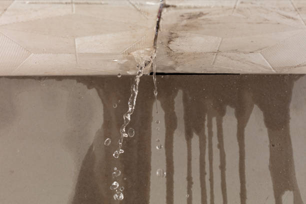 Professional Water Damage Repair technician working in Machias, ME